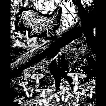 Neolithic Sorcery by Lichen - album cover