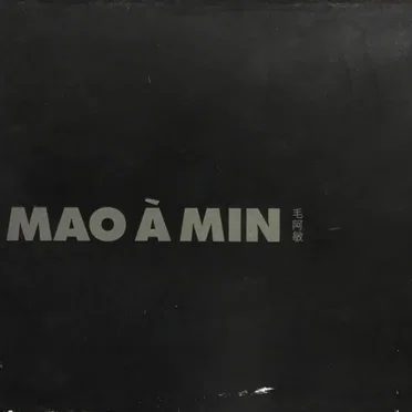 毛阿敏