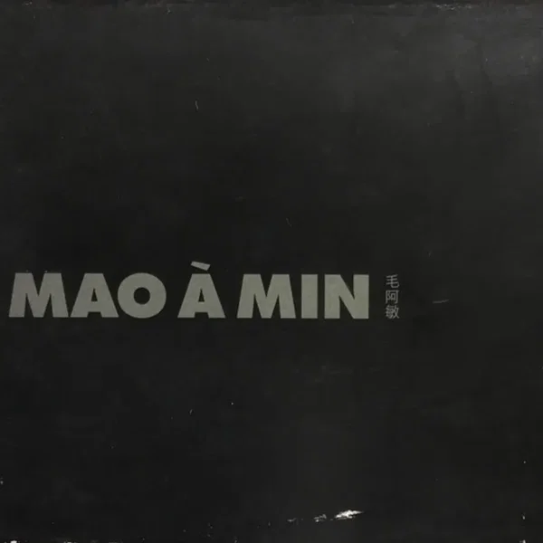 毛阿敏