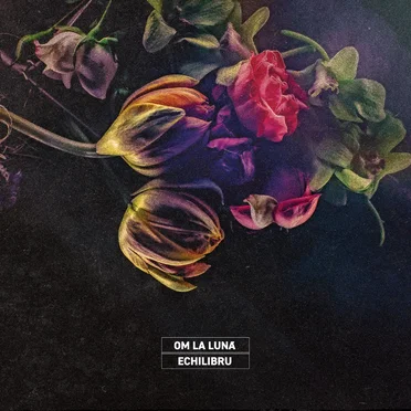Echilibru by om la luna - album cover
