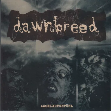 Amoklaufgefühl by Dawnbreed - album cover