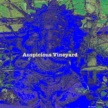 Auspicious Vineyard by Mr. Smolin - album cover