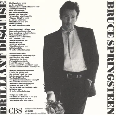 Brilliant Disguise / Fake