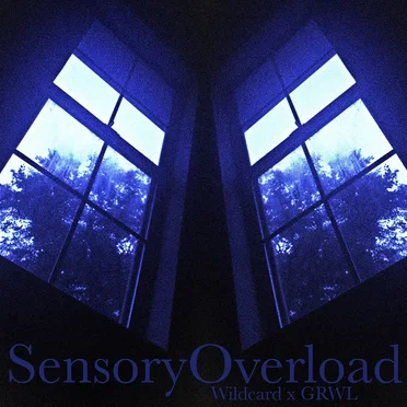 SensoryOverload