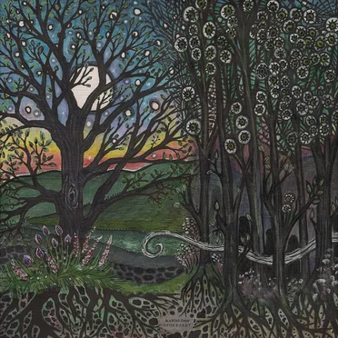 In a Witch Forest