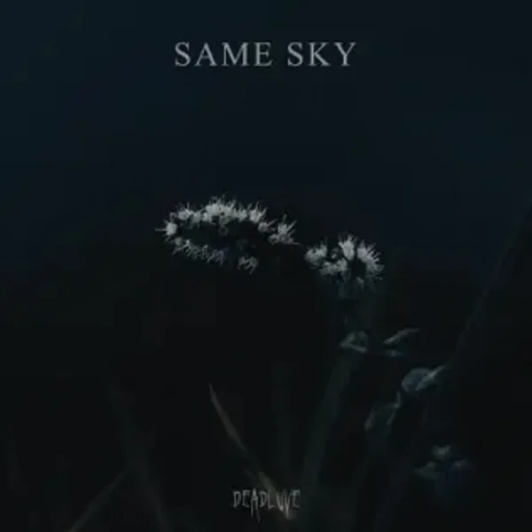 Same Sky