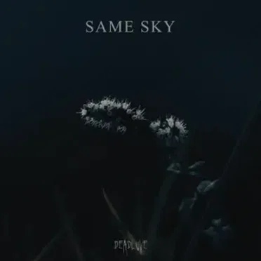 Same Sky