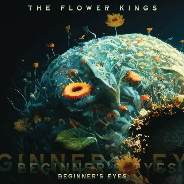Beginner’s Eyes