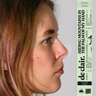 hiding mountains in the palm of my hand by de clair. - album cover