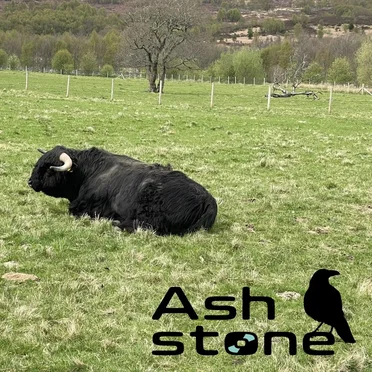 Sunburned In Scotland by Ashstone - album cover