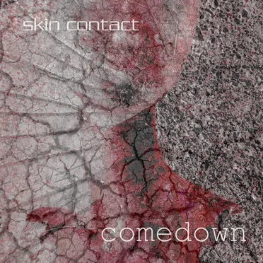 Comedown by skin contact - album cover