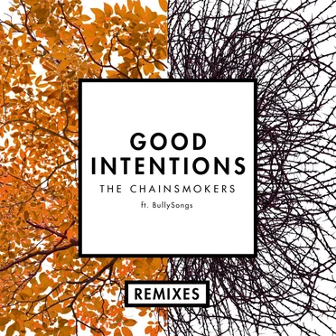 Good Intentions (remixes)