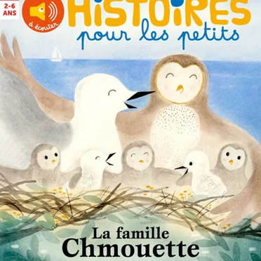 Histoires pour les petits : 3 histoires racontées aux petits (2020/06) by Various Artists - album cover