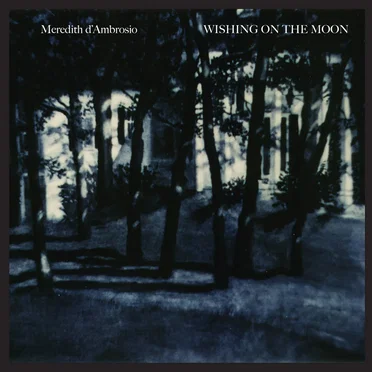 Wishing on the Moon