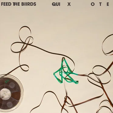 Quixote by Feed The Biirds - album cover