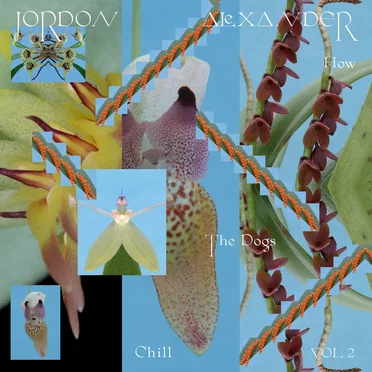 How the Dogs Chill, Vol. 2 by Jordon Alexander - album cover
