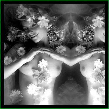 Ouarda (The Subtle Art of Phyllorhodomancy)