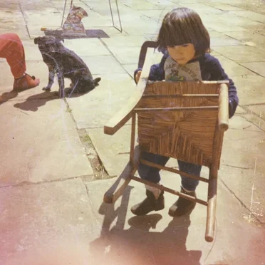Waiting For The Cricket Choir by Sol Hess - album cover