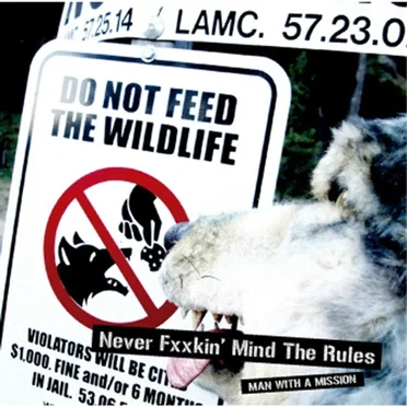 NEVER FXXKIN' MIND THE RULES