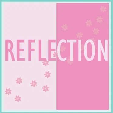 Reflection
