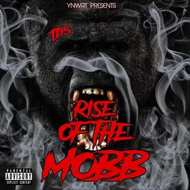 Rise of the Mobb by Tds615 - album cover