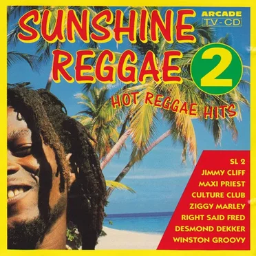 Sunshine Reggae 2: Hot Reggae Hits by Various Artists - album cover