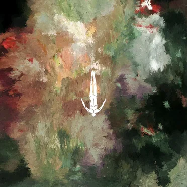 Miracle Of The Rose