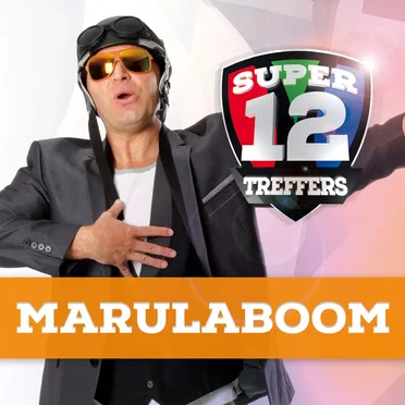 Super 12 Treffers by Marulaboom - album cover