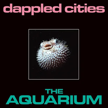 The Aquarium