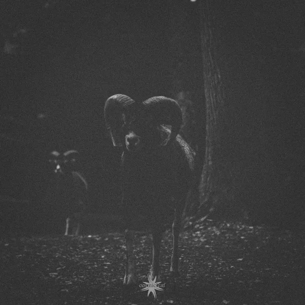 Rituals I
