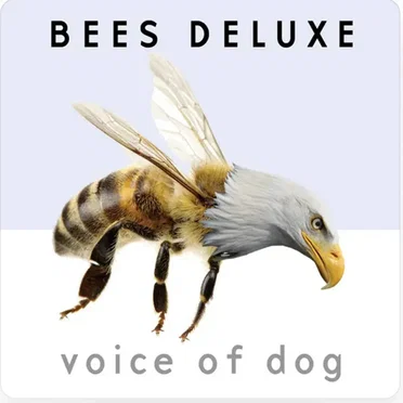 Voice of Dog