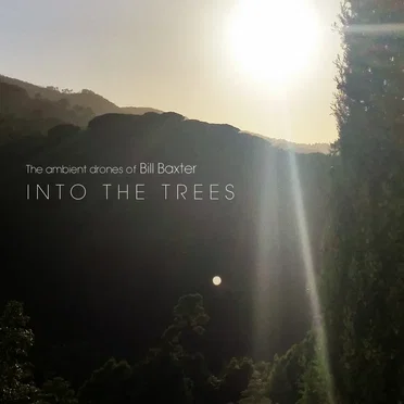 Into the Trees by The Ambient Drones of Bill Baxter - album cover