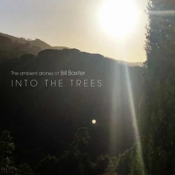 Into the Trees