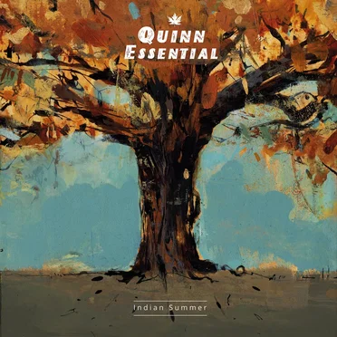 Indian Summer by Quinn Essential - album cover