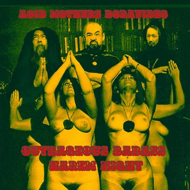 Outrageous Badass Harem Night by Acid Mothers Doravideo - album cover
