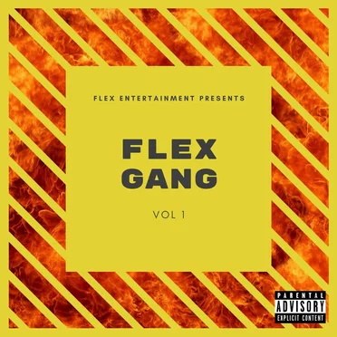 Flex Gang, Vol. 1 by Various Artists - album cover