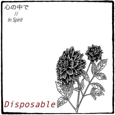 Disposable