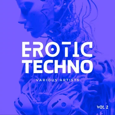 Erotic Techno, Vol 2 by Various Artists - album cover