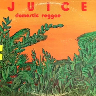 Domestic Reggae by Juice - album cover