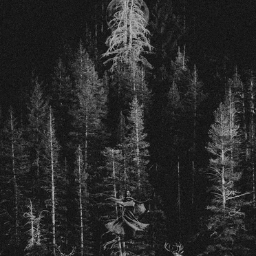Discography