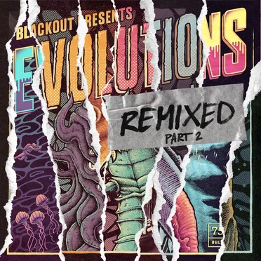 Evolutions Remixed, Part 2 by Various Artists - album cover