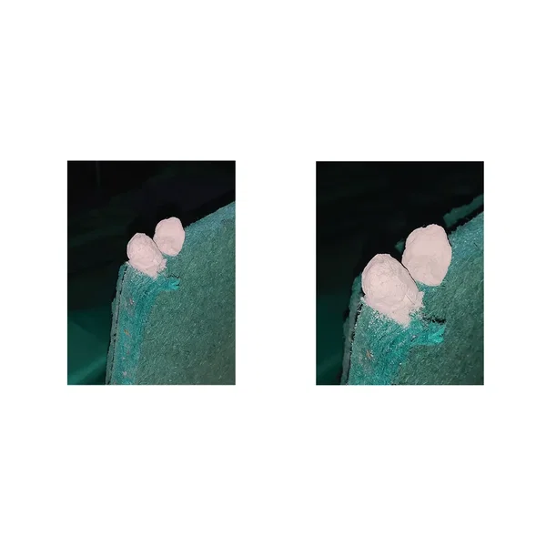 a very busy social life