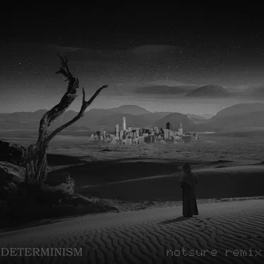 Determinism (notsure remix)