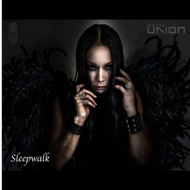 Sleepwalk by The True Union - album cover