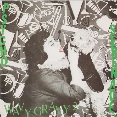Wavy Gravy 2: Psycho Serenade by Various Artists - album cover