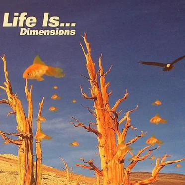Life Is... Dimensions by Various Artists - album cover