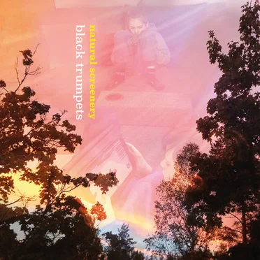Natural Screenery by Black Trumpets - album cover