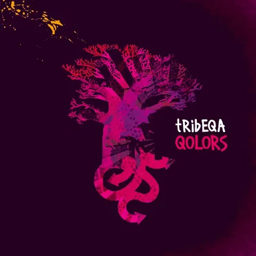 Qolors by Tribeqa - album cover