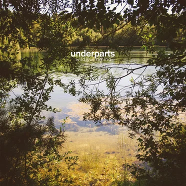 Wild Swimming by Underparts - album cover