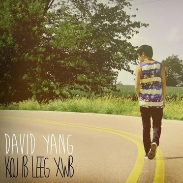 Koj Ib Leeg Xwb by David Yang - album cover